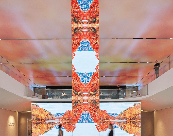 BMW Showroom Display - Content Image 3